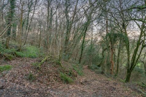 Woods (Separate Negotiation)