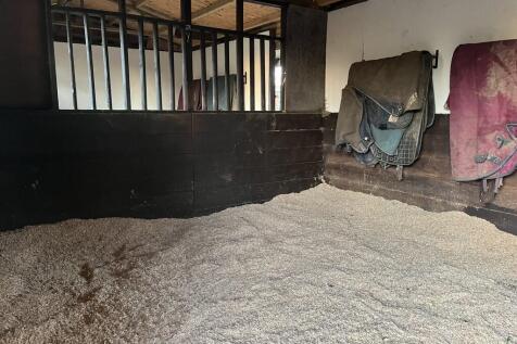 thumbnail_IMG_831...