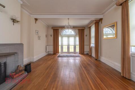 20250321-20250321-DSC07252 (2).jpg