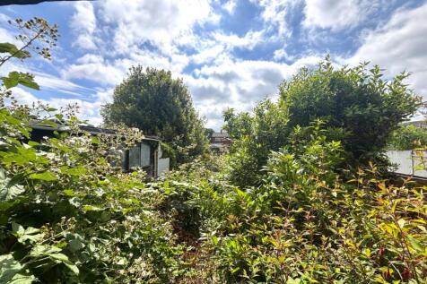 Garden.jpeg