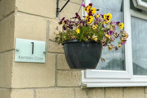 IMG_7465.jpg