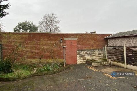 Back Garden