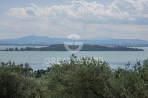 Panorama e Particolari