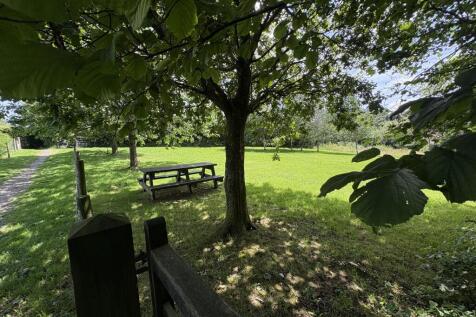 Community Meadow