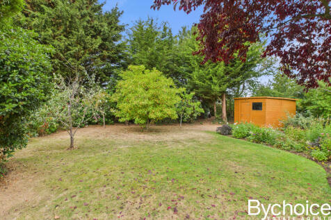 CAM05454G0-PR0045-STILL028