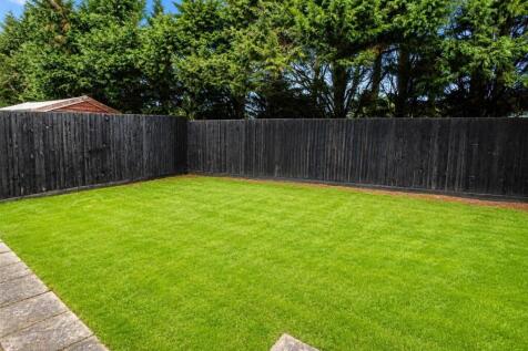 garden.jpg