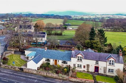 DJI_20260129121214_0230_D.JPG