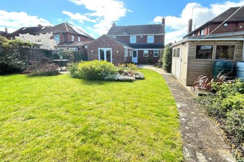 Garden 1