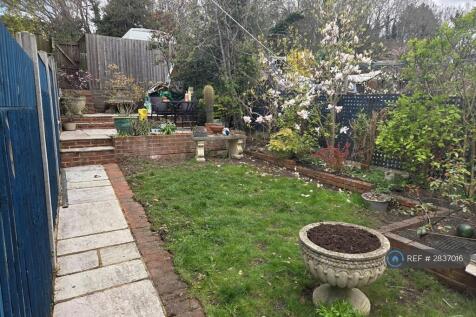 Garden Lawn