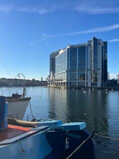 IMG_0958.jpeg