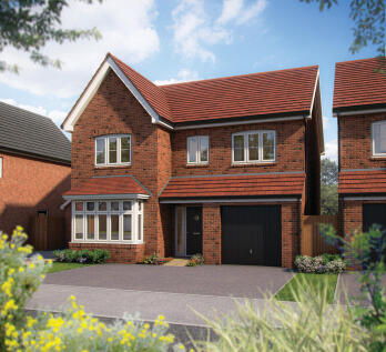 51369 NWOMB X415 Plot 85 Alder