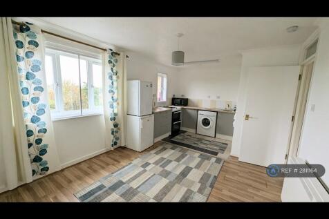 Living/Kitchen Area