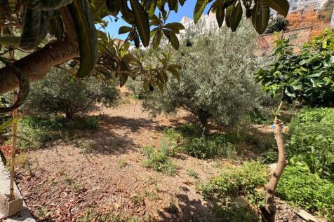 Property Image 53