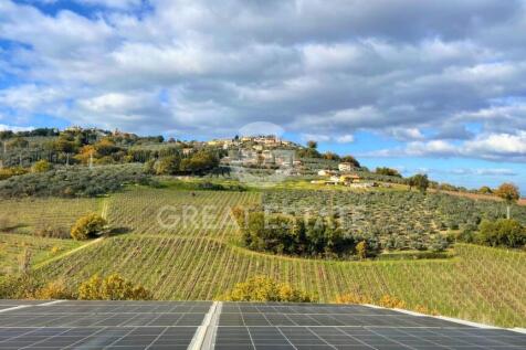 Panorama e Particolari