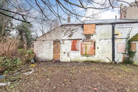 IMG 7944 T202601191309 T202601191700.jpg