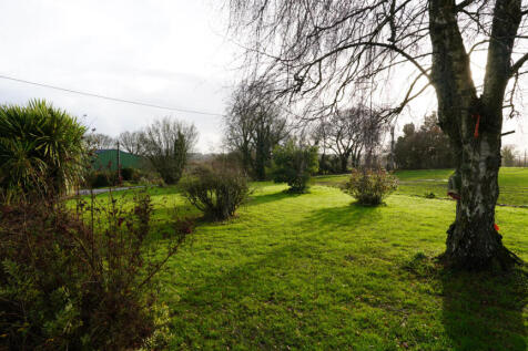 Image 17