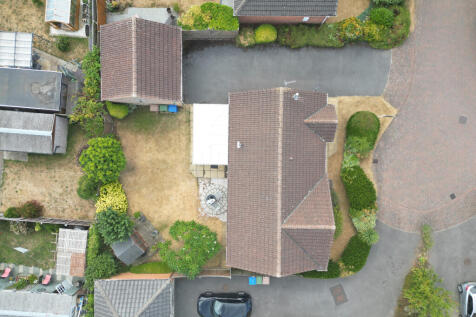 Birds Eye.JPG