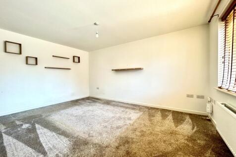 IMG_4787