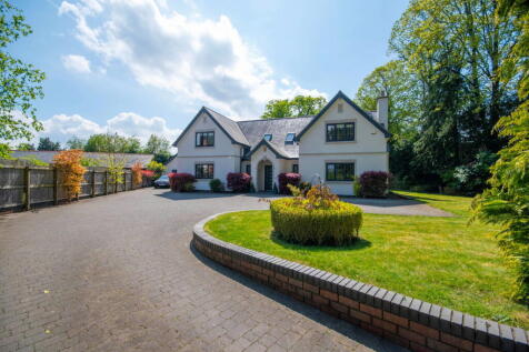 Property Image 39