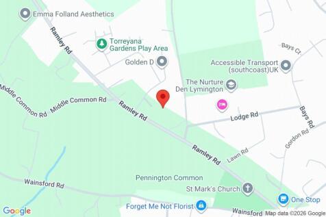 Google Maps Image