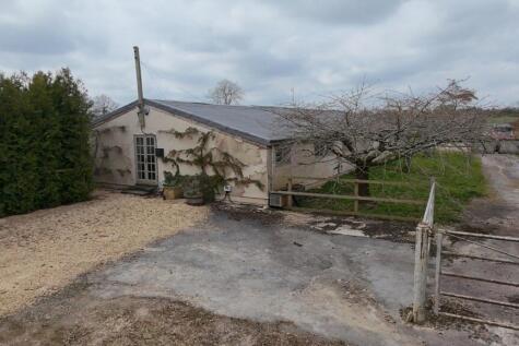 dji_fly_20250326_113336_0113_1742988906231_photo