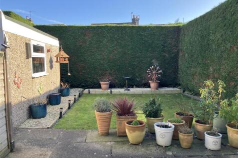 back garden.jpeg
