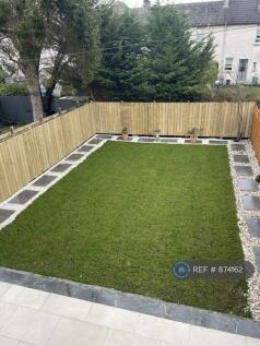 Back Garden