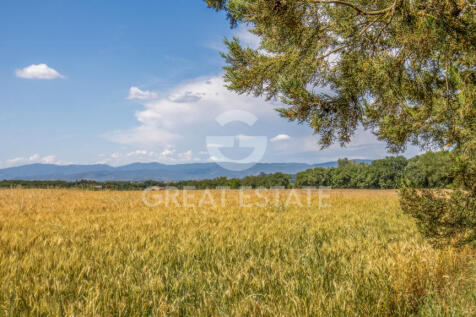 Panorama e Particolari