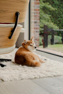 313271 - _A741083.jpg