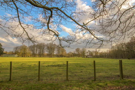 IMG_4378_edited_edited