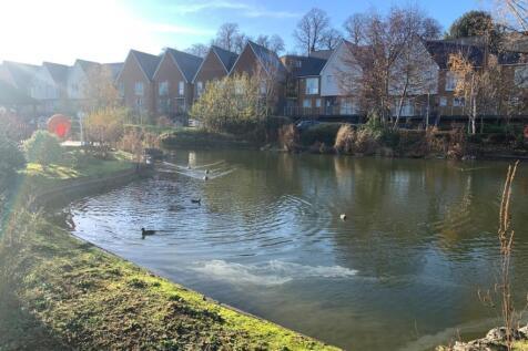 pond.jpg
