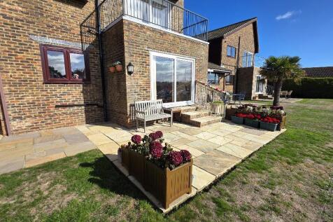 Patio + Rear