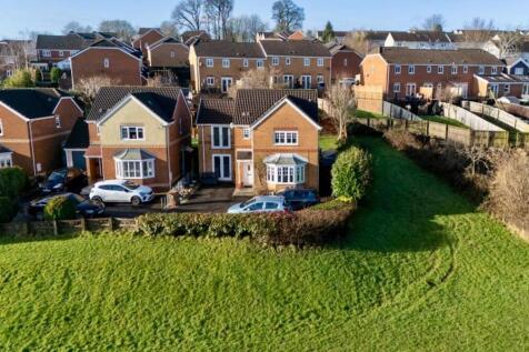 WhatsApp Image 20...