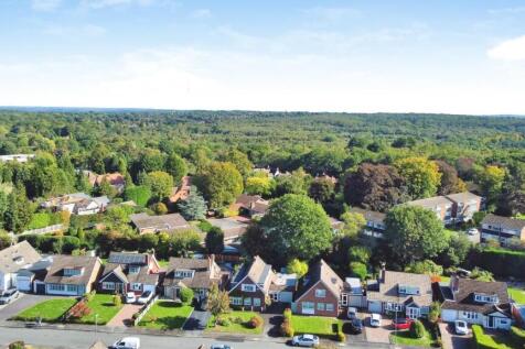 dji_0020.jpg