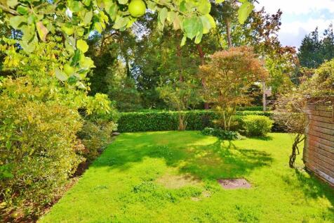 DSC_1113 (1280x85...