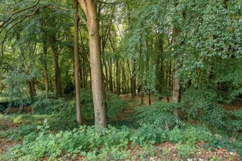 Private woodland