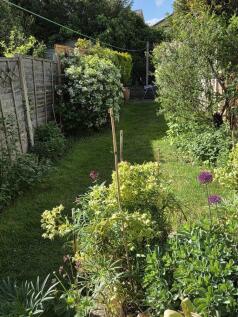 Garden Shot