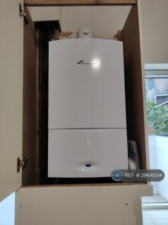 New Boiler 