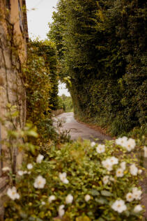 309693 - INIGO_PALM COTTAGE_02.JPG