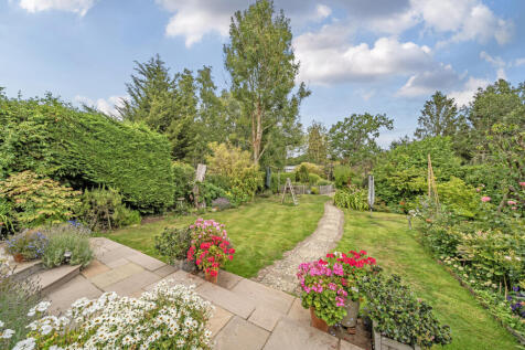 1335691-19-6894d8...