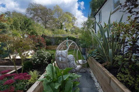 Back Garden