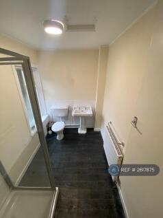 Large Bathroom/Shower