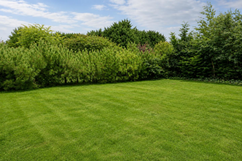 garden.png