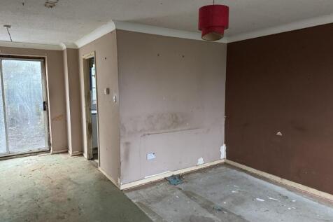2  Medium  T202601271644.jpg