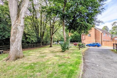 Front Garden / Drive