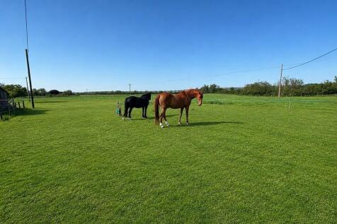 Field 