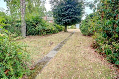 Garden 4.jpg