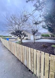 New Fence.