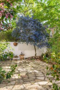 Sunny Garden