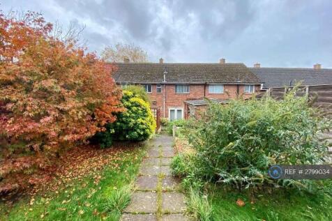 Back Garden